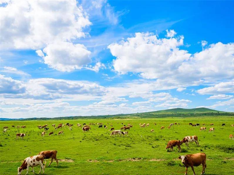 内蒙古深度游指南,体验难忘之旅与蒙古文化学习之旅