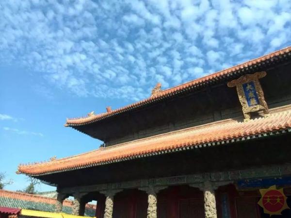 山东深度攻略,掌握关键任务与技能的学习路径