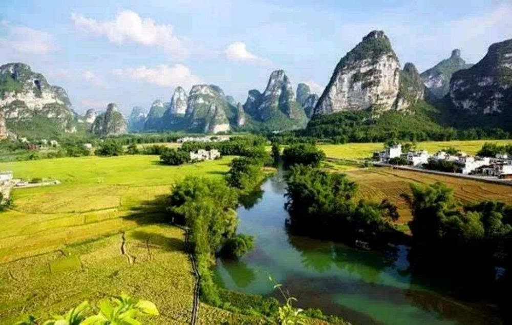 广西尊礼,领导与朋友共聚盛会