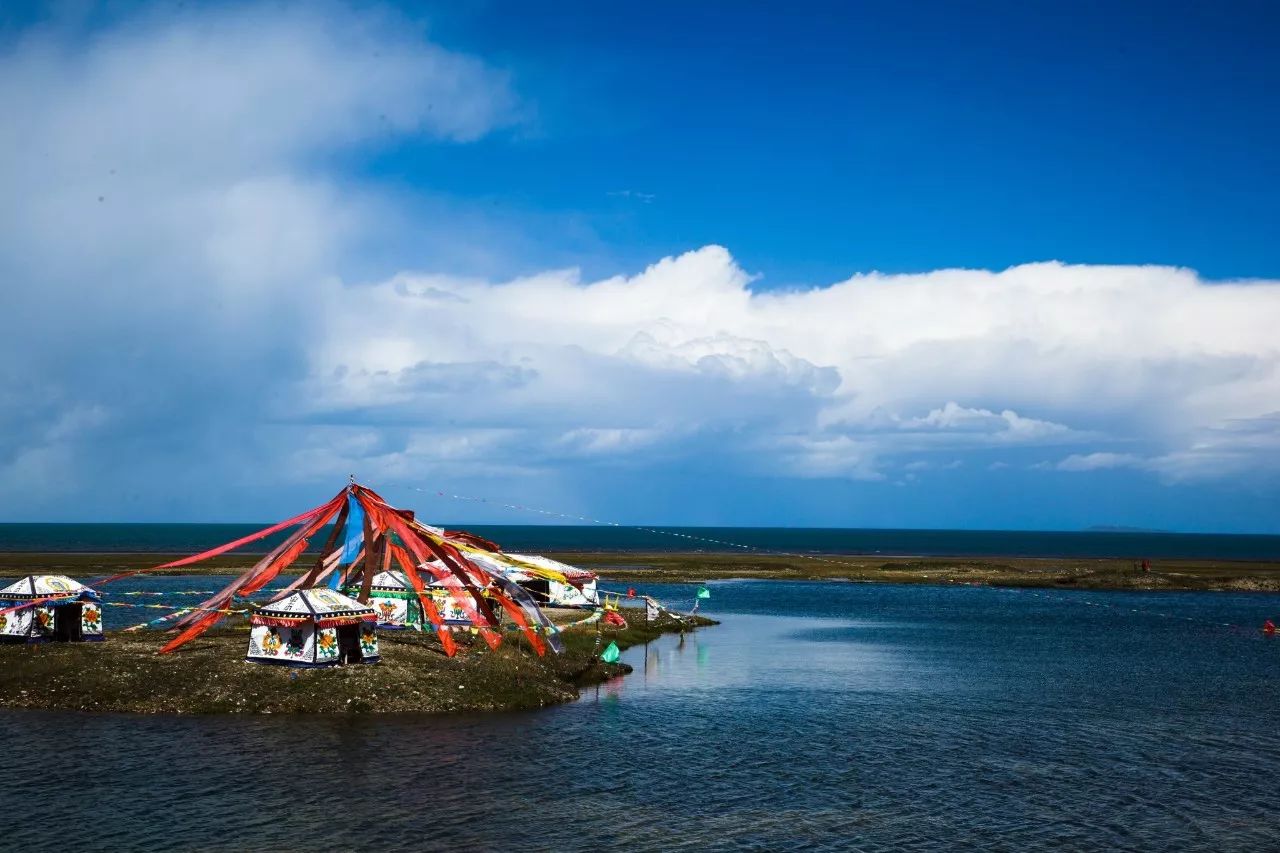 高原绿梦，青海绿色发展新纪元